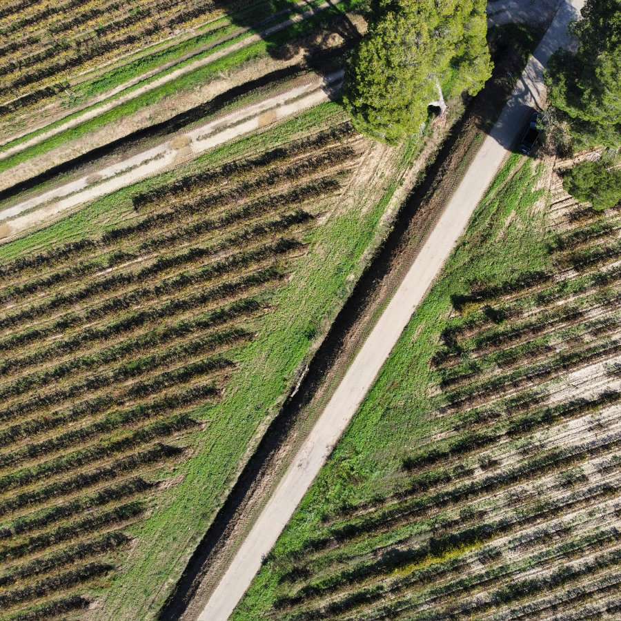Anbaugebiet aus der Vogelperspektive